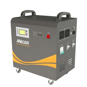 Mecer 1Kw Pure Sine Wave Inverter